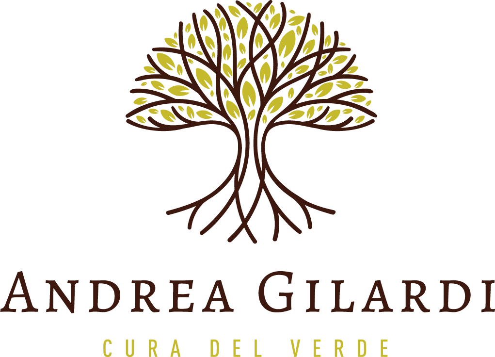 logo andrea gilardi